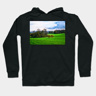 Autumn Countryside Scenery - Field & Trees Hoodie